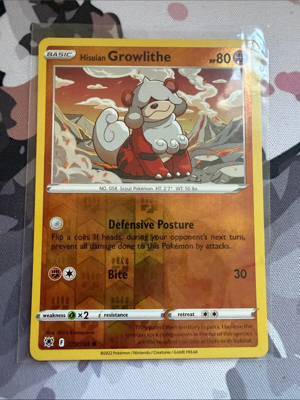 Growlithe & Arcanine Evolution Lot | 4 Cards | Holo Reverse Holo ✨5/$25✨